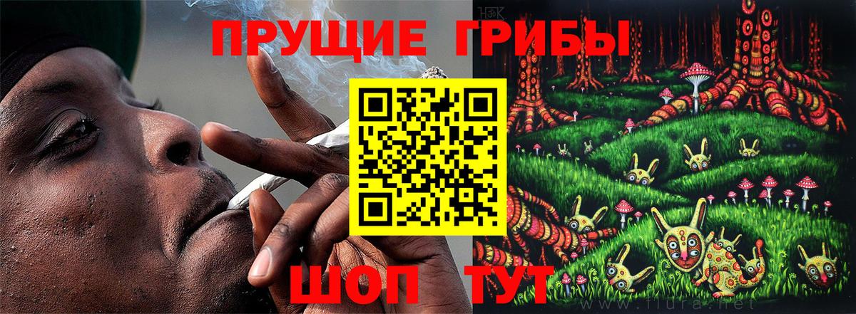 Галлюциногенные грибы Psilocybine cubensis Троицк