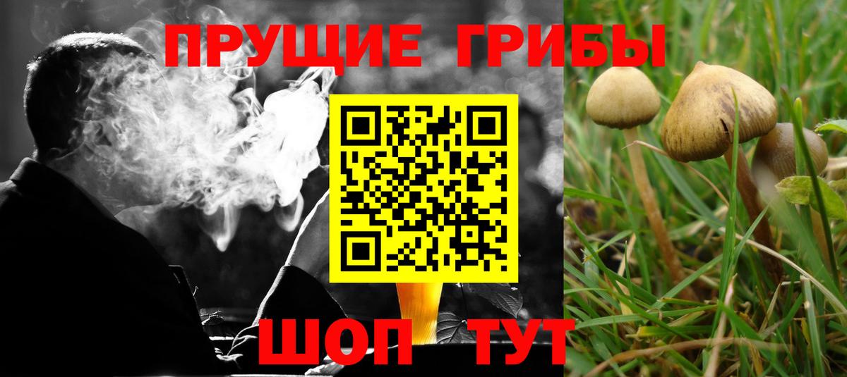 Галлюциногенные грибы мухоморы  Вход с VPN  Троицк 